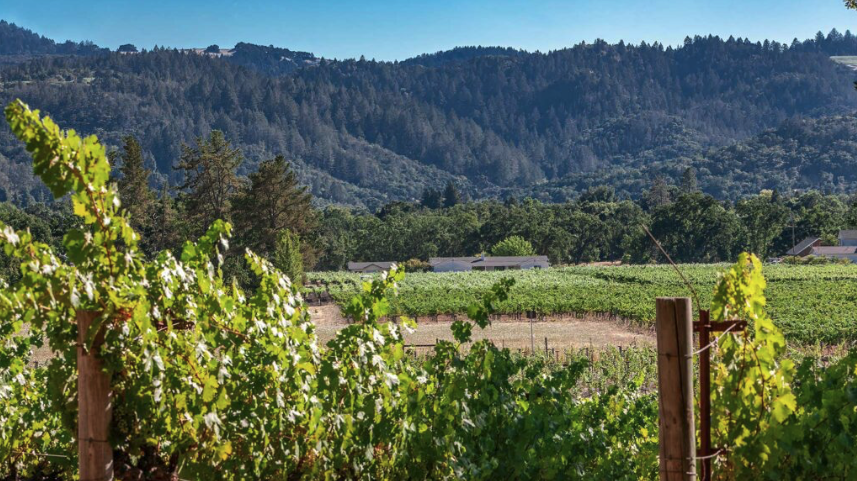 Gubel Family Vineyards estate in Calistoga, Napa Valley